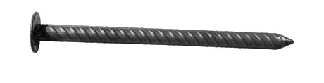 CAN FORTE_2