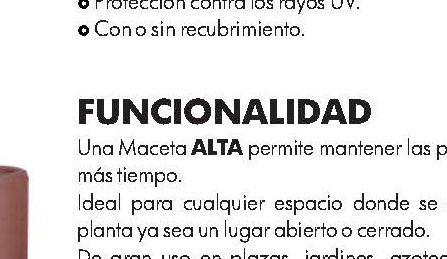 COLUMNA ALTA