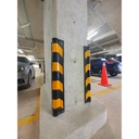 Protector de Columna