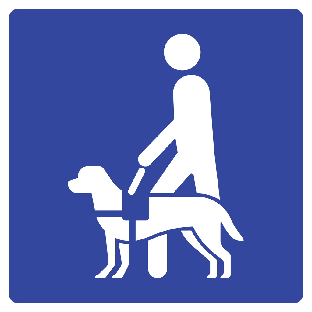 Señal SIS-51C Persona con perro de asistencia (Ingeniería, PTR, 61 X 61 CM)