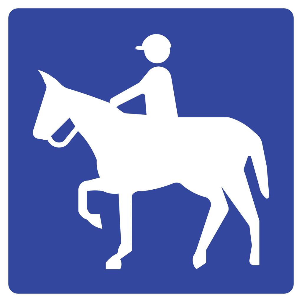 Señal SIT-65 Equitación (Ingeniería, PTR, 61 X 61 CM)